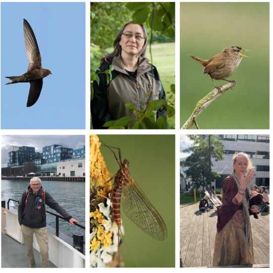 Arternes Ambassadører