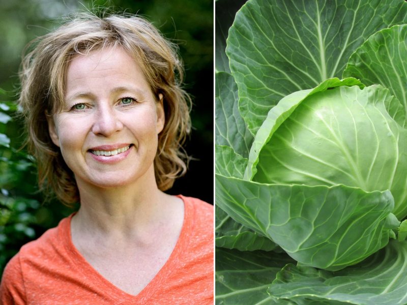 Anette Sams og et kålhoved