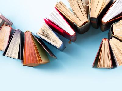 Litteratursnakken