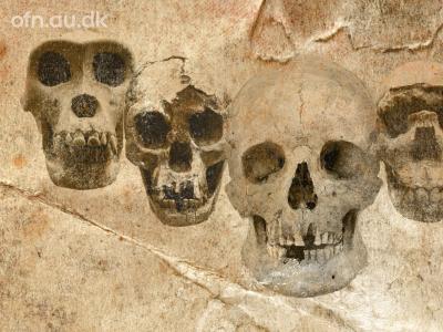 Offentlige foredrag i Naturvedenskab - DNA og fossiler udvider vores stamtræ