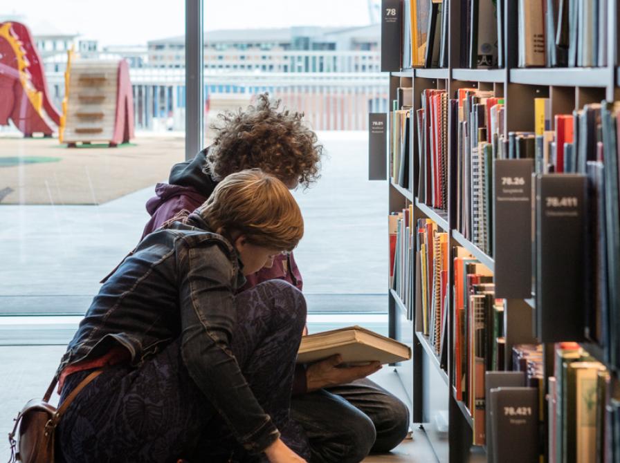 To personer kigger på bøger i faglitteratur sektion.