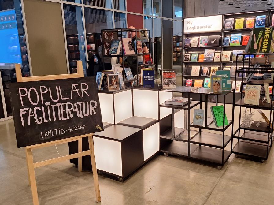 Populær faglitteratur på Dokk1