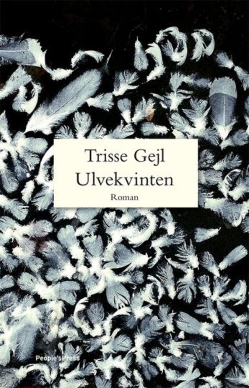 Trisse Gejl: Ulvekvinten : roman (106)("LÆSETASKE" - udlånes kun til Læsekredse) (Læsetaske)