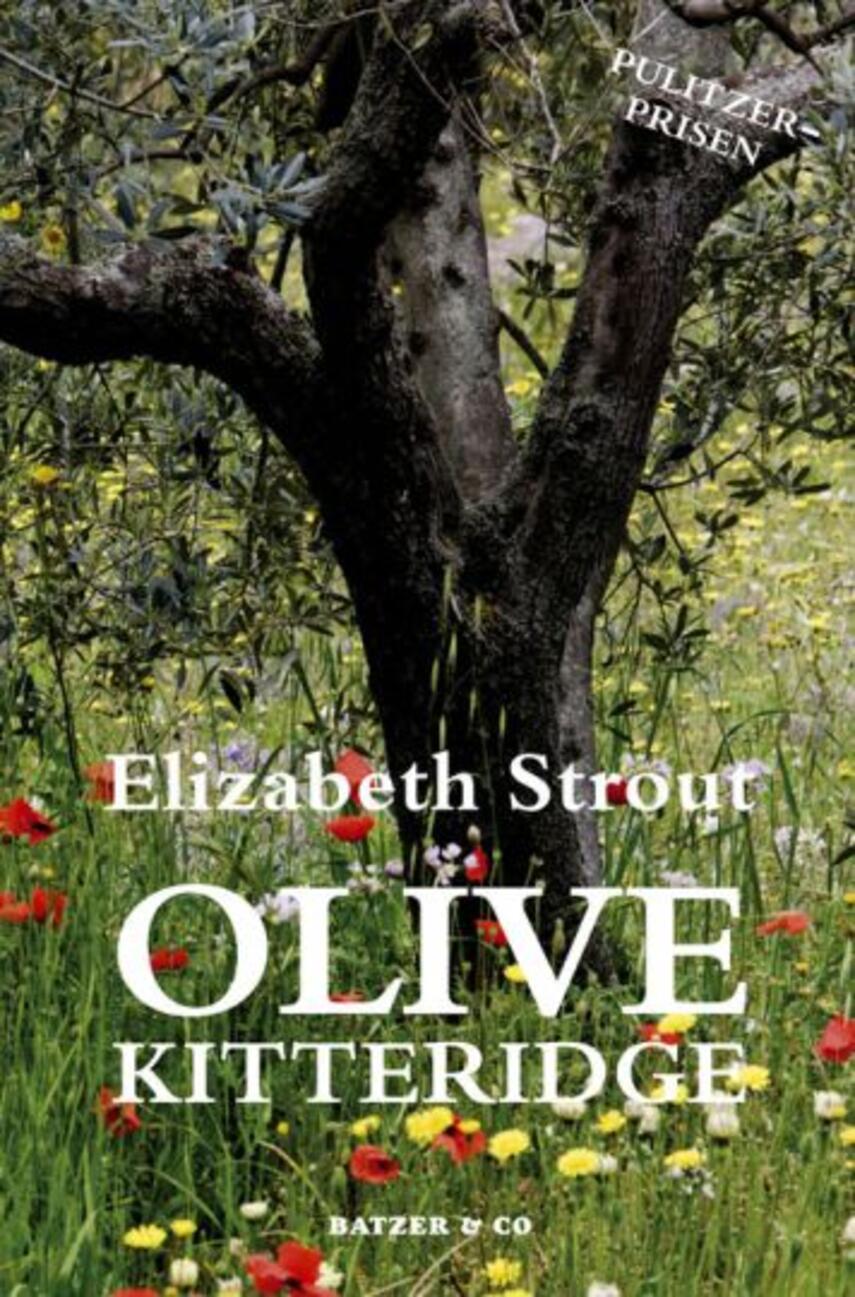 Elizabeth Strout: Olive Kitteridge : roman (207) ("LÆSETASKE" - udlånes kun til Læsekredse) (Læsetaske)