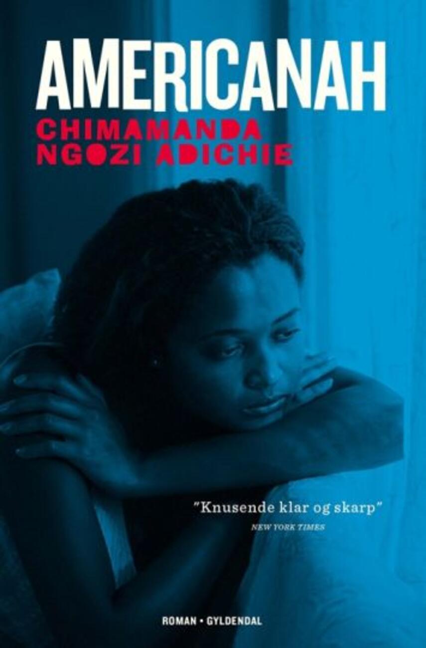 Chimamanda Ngozi Adichie: Americanah : roman (221) ("LÆSETASKE" - udlånes kun til Læsekredse) (Læsetaske)