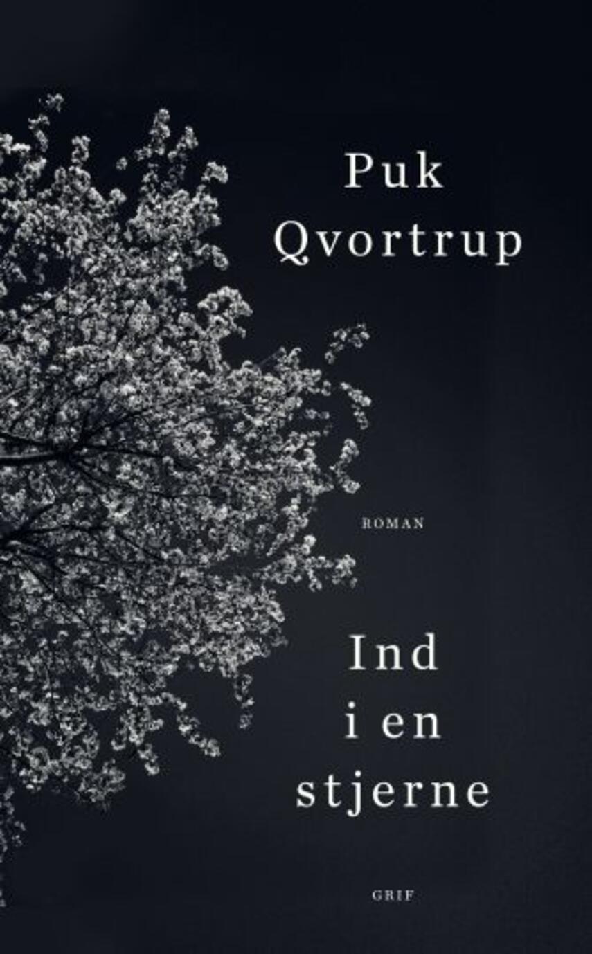 Puk Qvortrup: Ind i en stjerne : roman (208)("LÆSETASKE" - udlånes kun til Læsetaske) (Læsetaske)