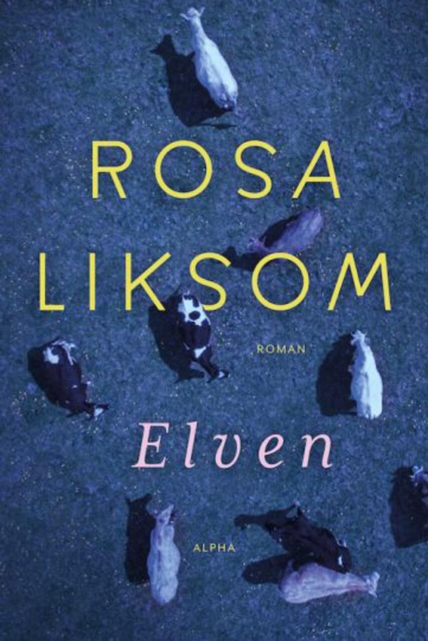 Rosa Liksom: Elven : en fortælling (46)("LÆSETASKE" - udlånes kun til Læsekredse) (Læsetaske)