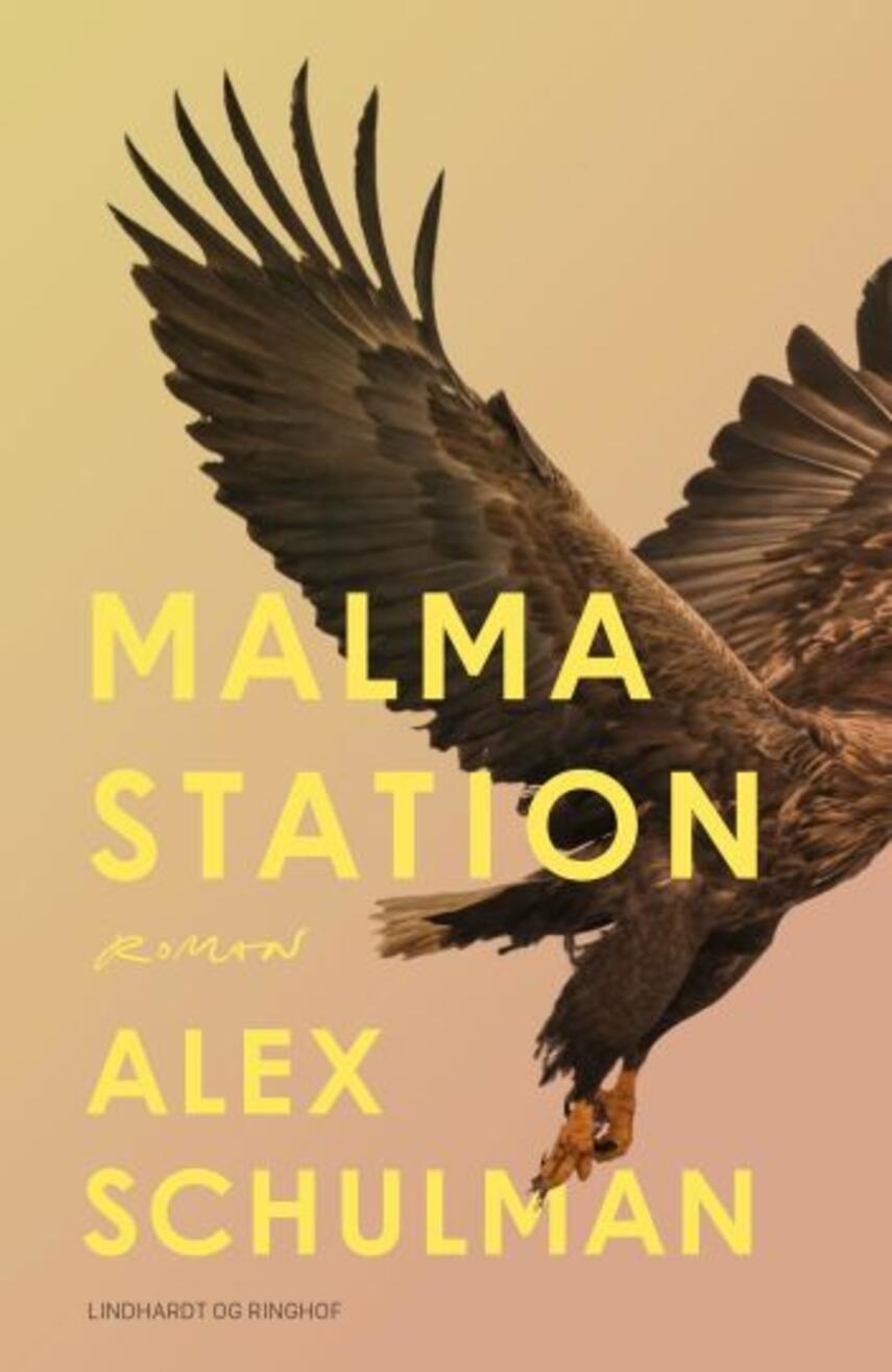 Alex Schulman: Malma station : roman (246)("LÆSETASKE" - udlånes kun til Læsekredse) (Læsetaske)