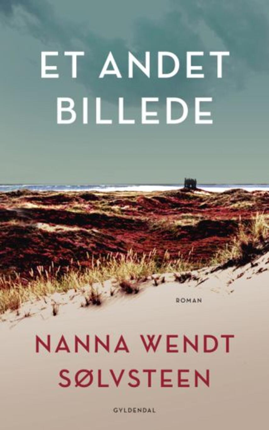 Nanna Wendt Sølvsteen: Et andet billede : roman (295)("LÆSETASKE" - udlånes kun til Læsekredse) (Læsetaske)