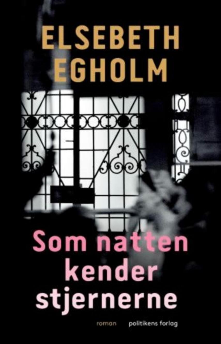Elsebeth Egholm: Som natten kender stjernerne : roman (147)("LÆSETASKE" - udlånes kun til Læsekredse) (Læsetaske)