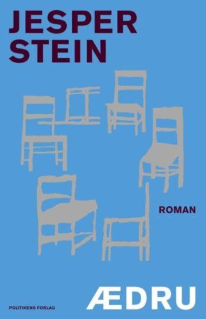 Jesper Stein: Ædru : roman (164)("LÆSETASKE" - udlånes kun til Læsekredse) (Læsetaske)