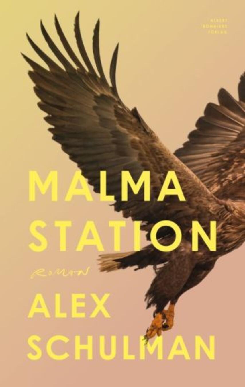 Alex Schulman: Malma station : roman