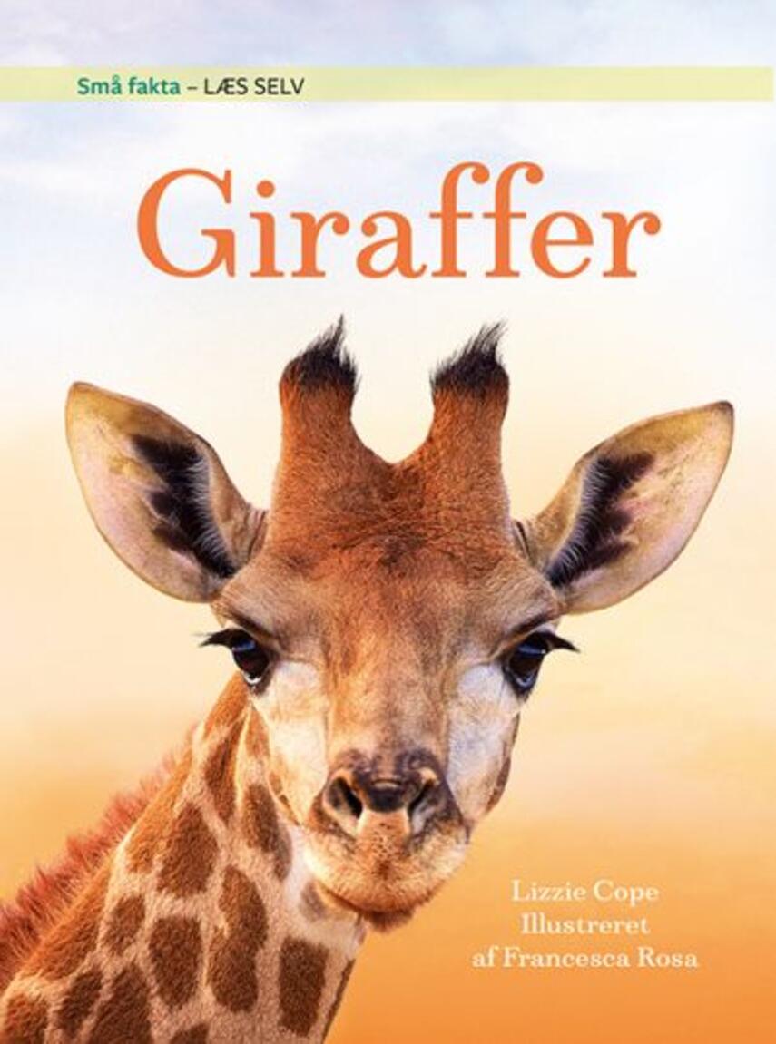 Lizzie Cope: Giraffer
