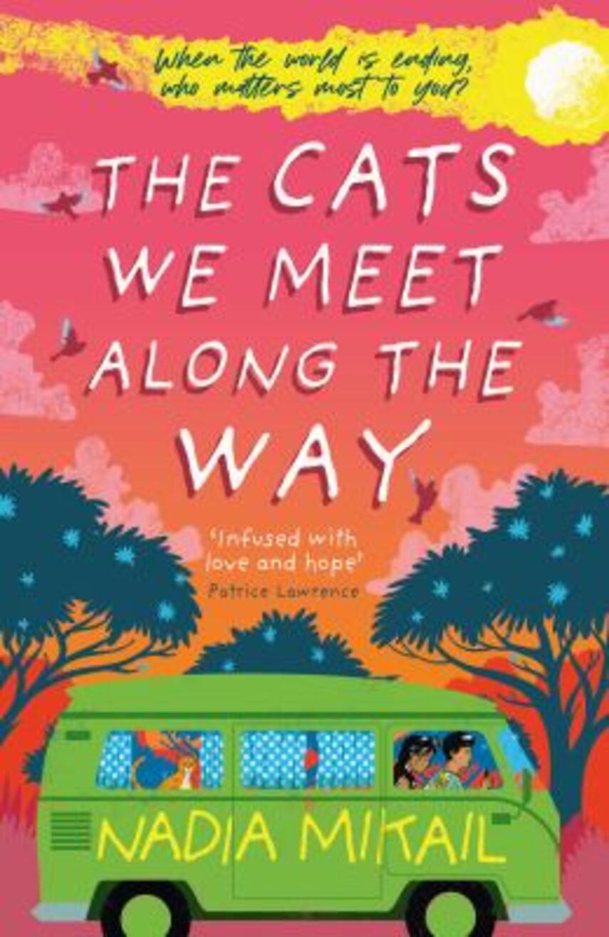 Nadia Mikail: The cats we meet along the way