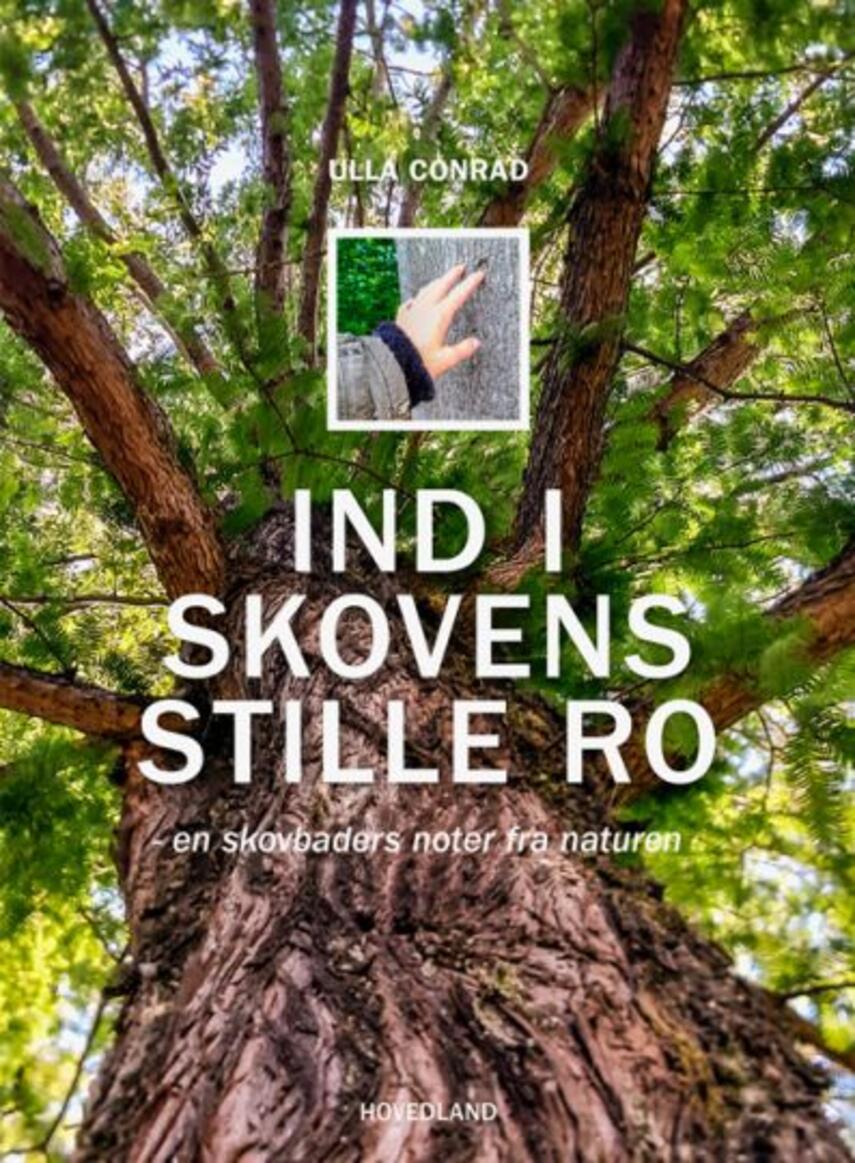 Ulla Conrad: Ind i skovens stille ro : en skovbaders noter fra naturen