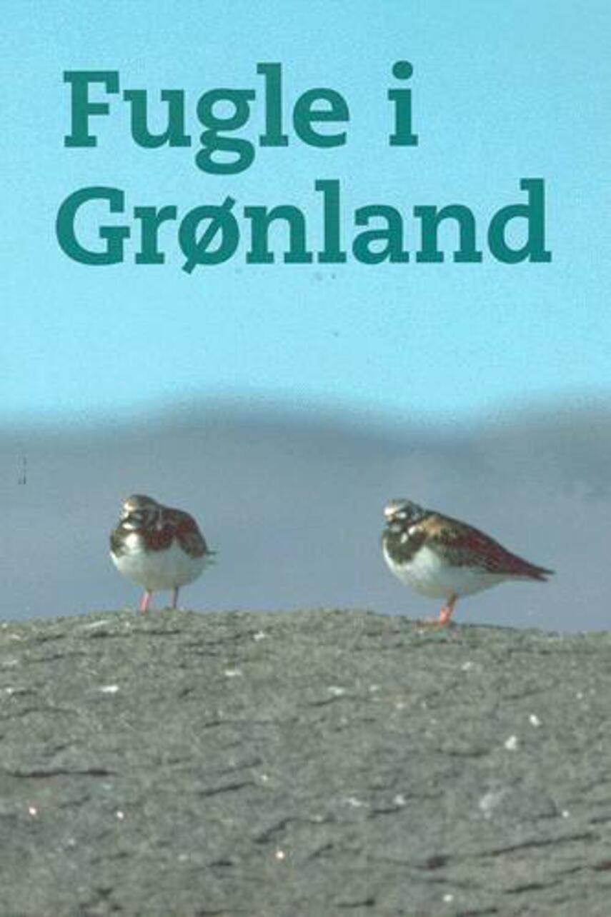 : Fugle i Grønland