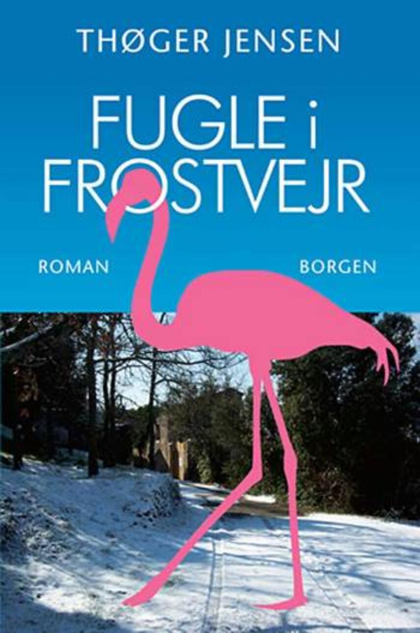 Thøger Jensen (f. 1960): Fugle i frostvejr : roman
