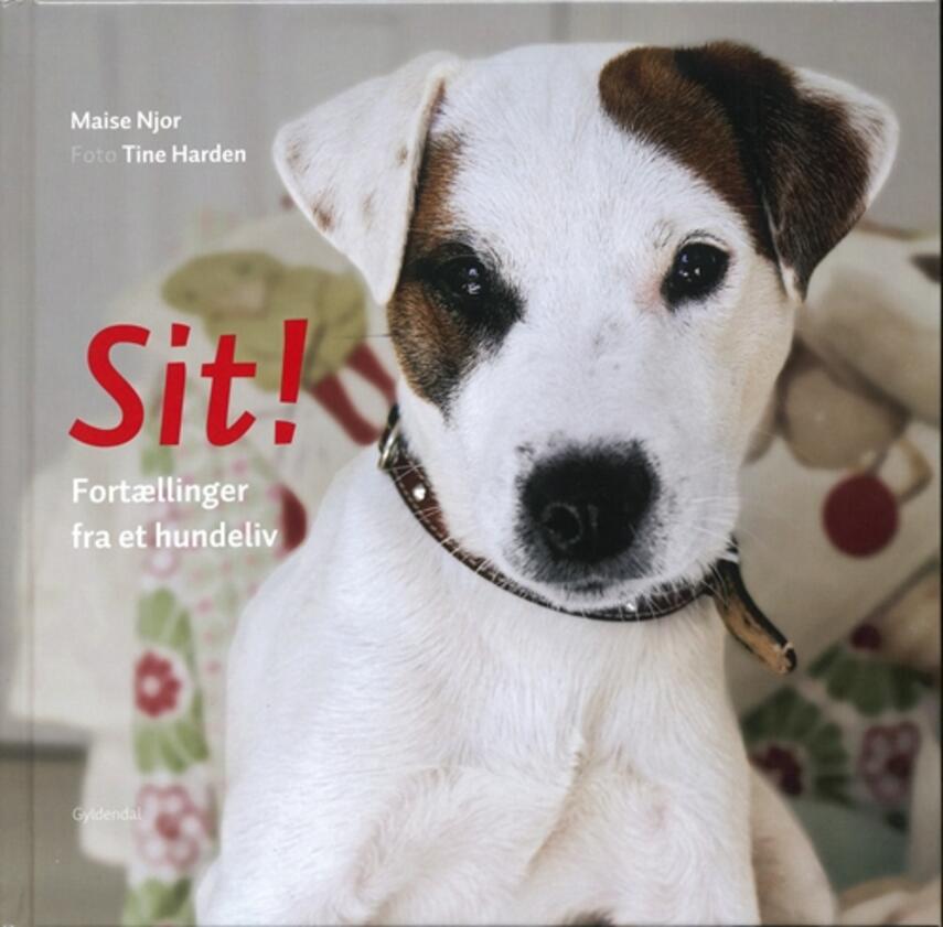 : Sit! : fortællinger fra et hundeliv