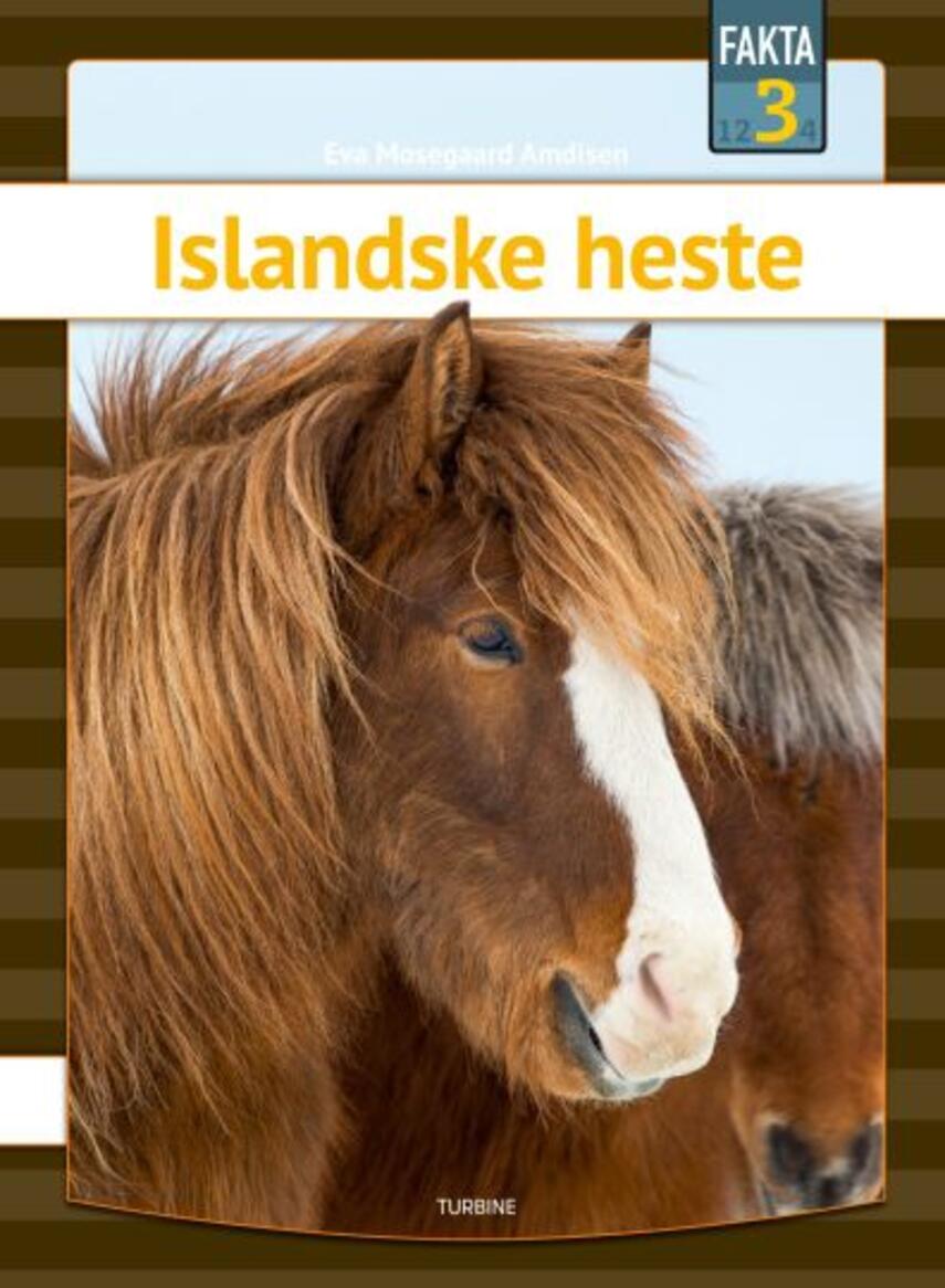 Eva Mosegaard Amdisen: Islandske heste