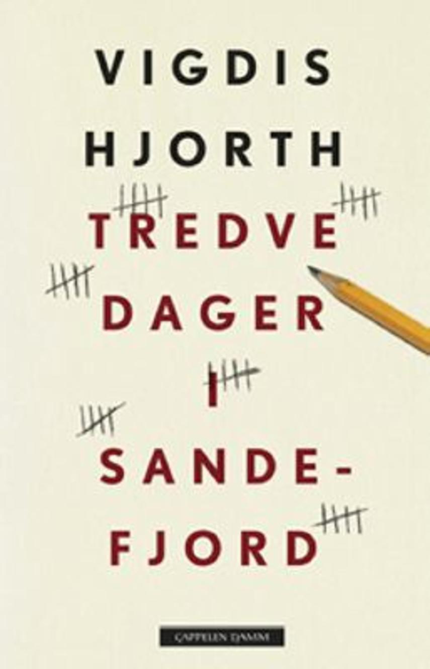 Vigdis Hjorth: Tredve dager i Sandefjord : roman