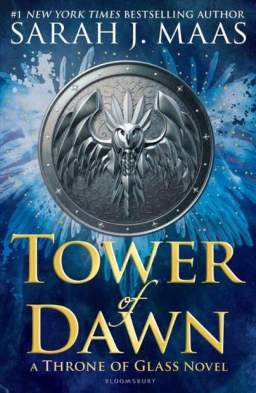 Sarah J. Maas: Tower of dawn