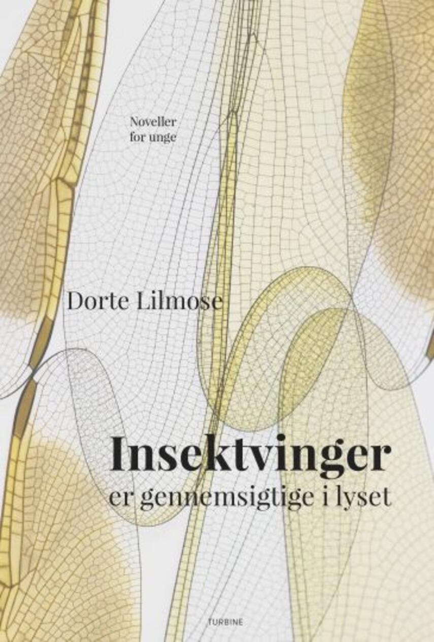 Dorte Lilmose: Insektvinger er gennemsigtige i lyset : noveller
