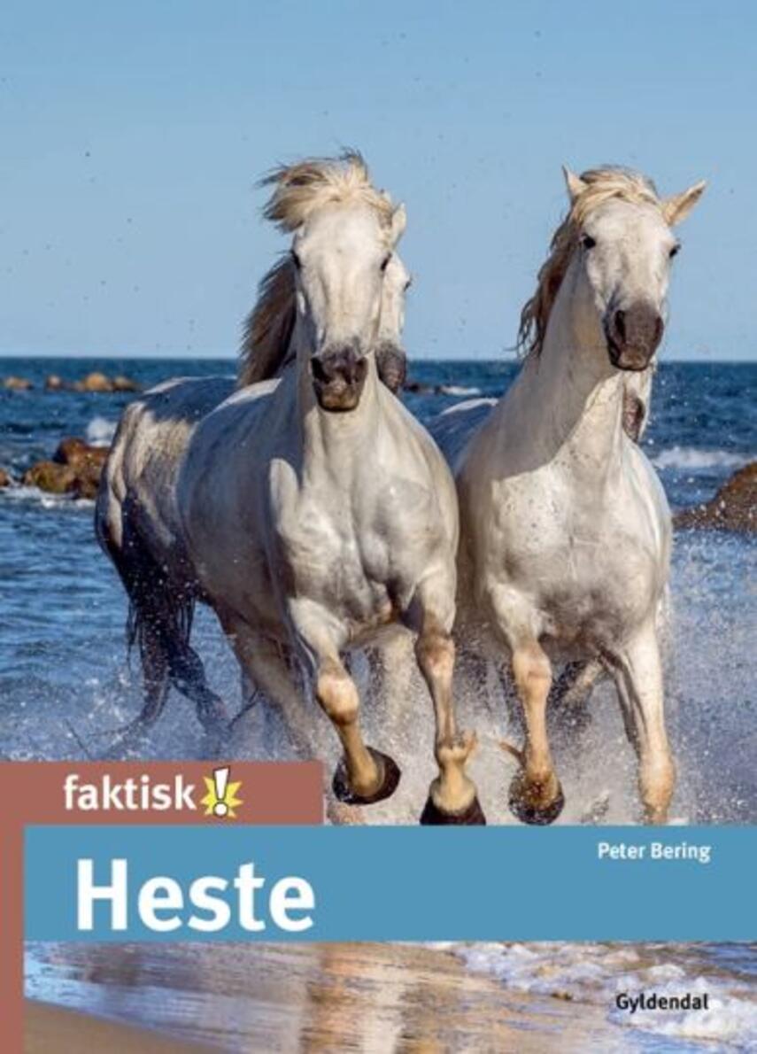 Peter Bering (f. 1948): Heste