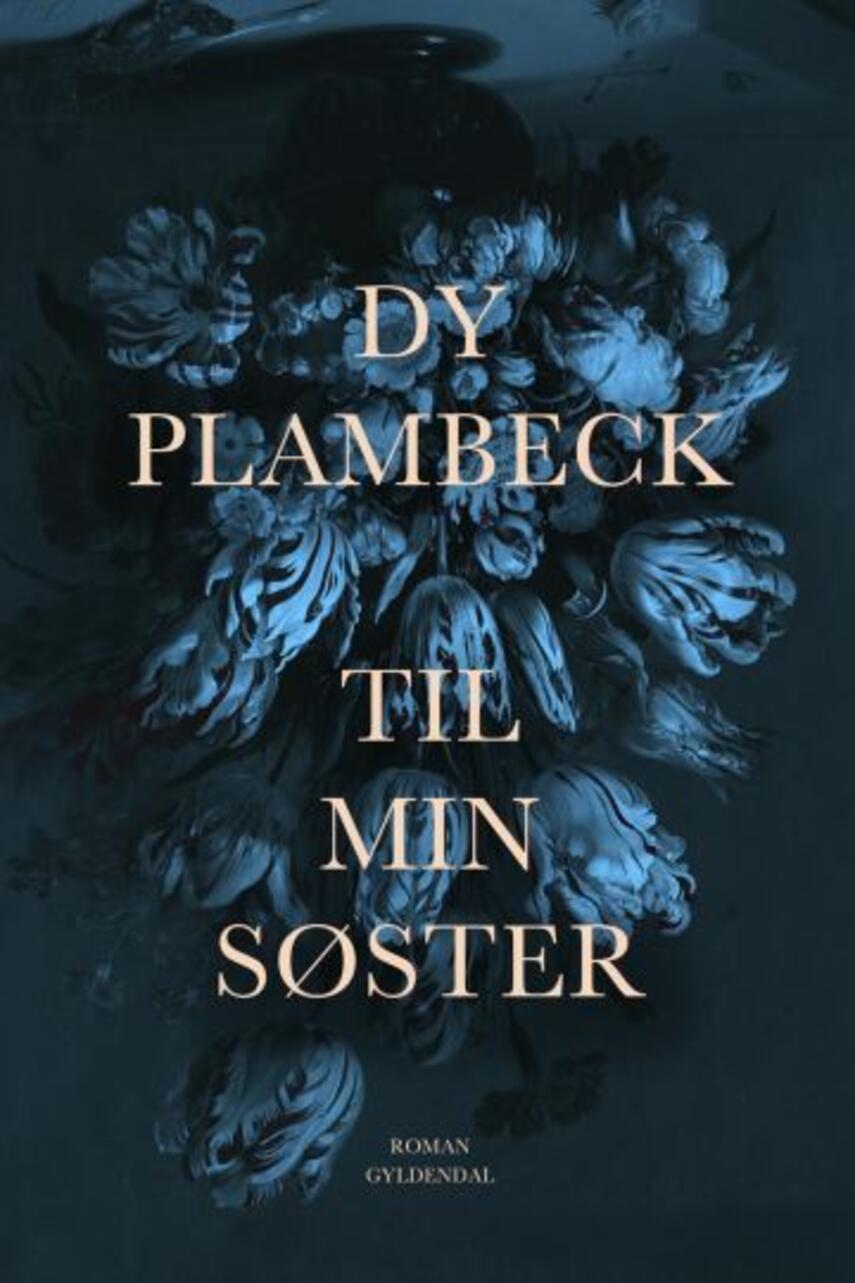 Dy Plambeck: Til min søster : roman