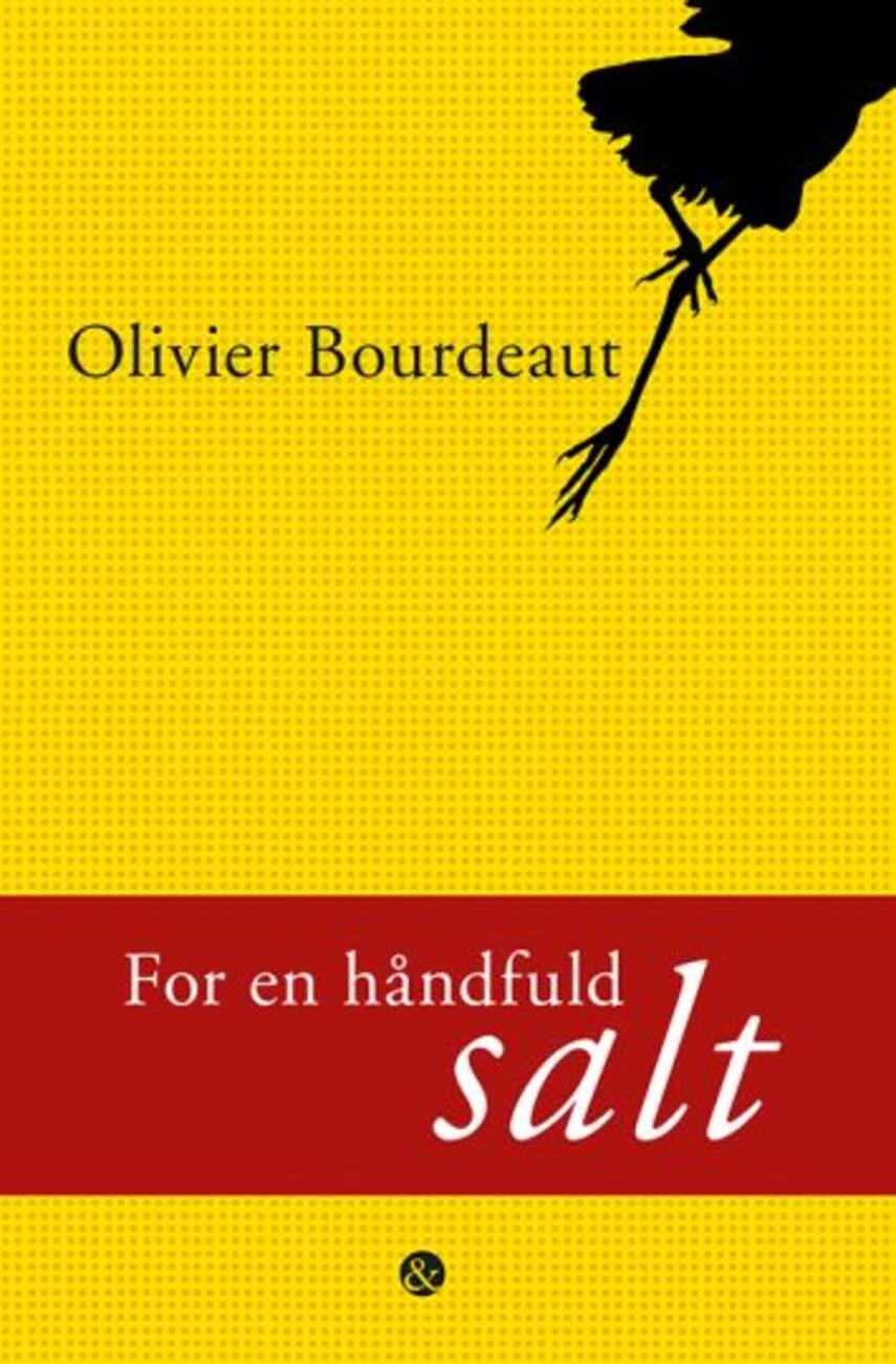 Olivier Bourdeaut (f. 1980): For en håndfuld salt
