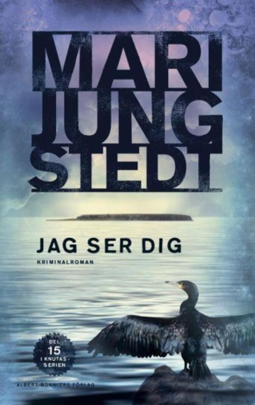 Mari Jungstedt: Jag ser dig