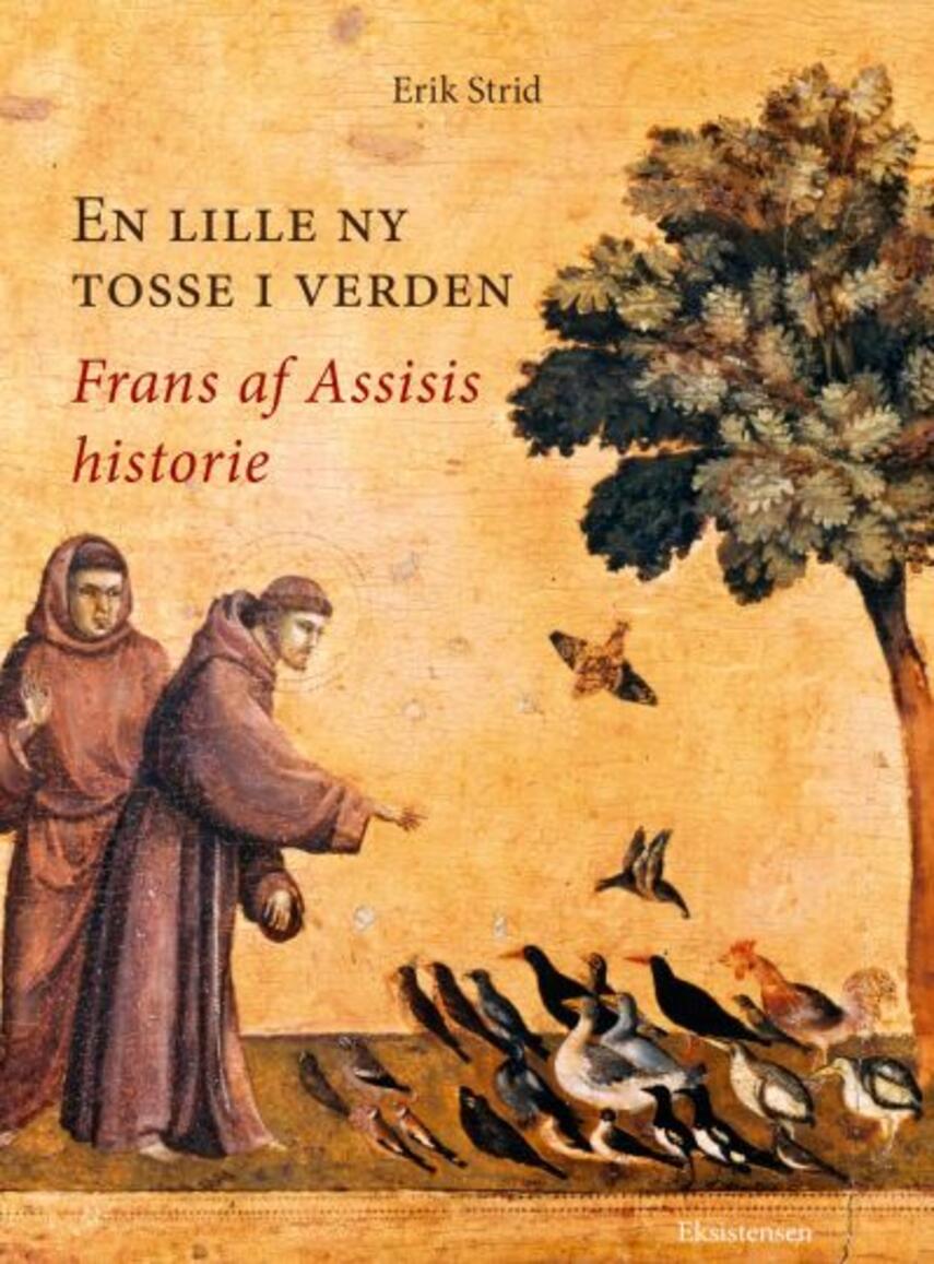 Erik Strid: En lille ny tosse i verden : Frans af Assisis historie