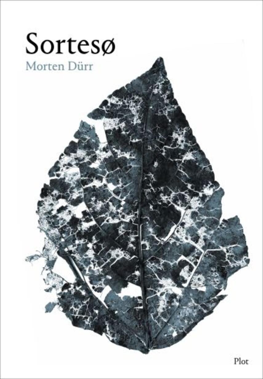 Morten Dürr: Sortesø