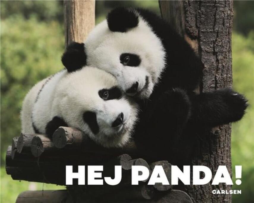: Hej panda!