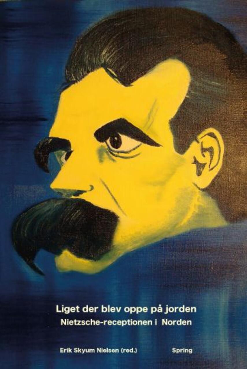 : Liget der blev oppe på jorden : Nietzsche-receptionen i Norden