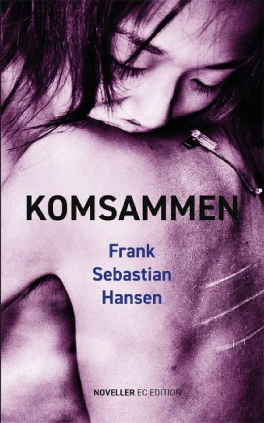 Frank Sebastian Hansen: Komsammen : noveller
