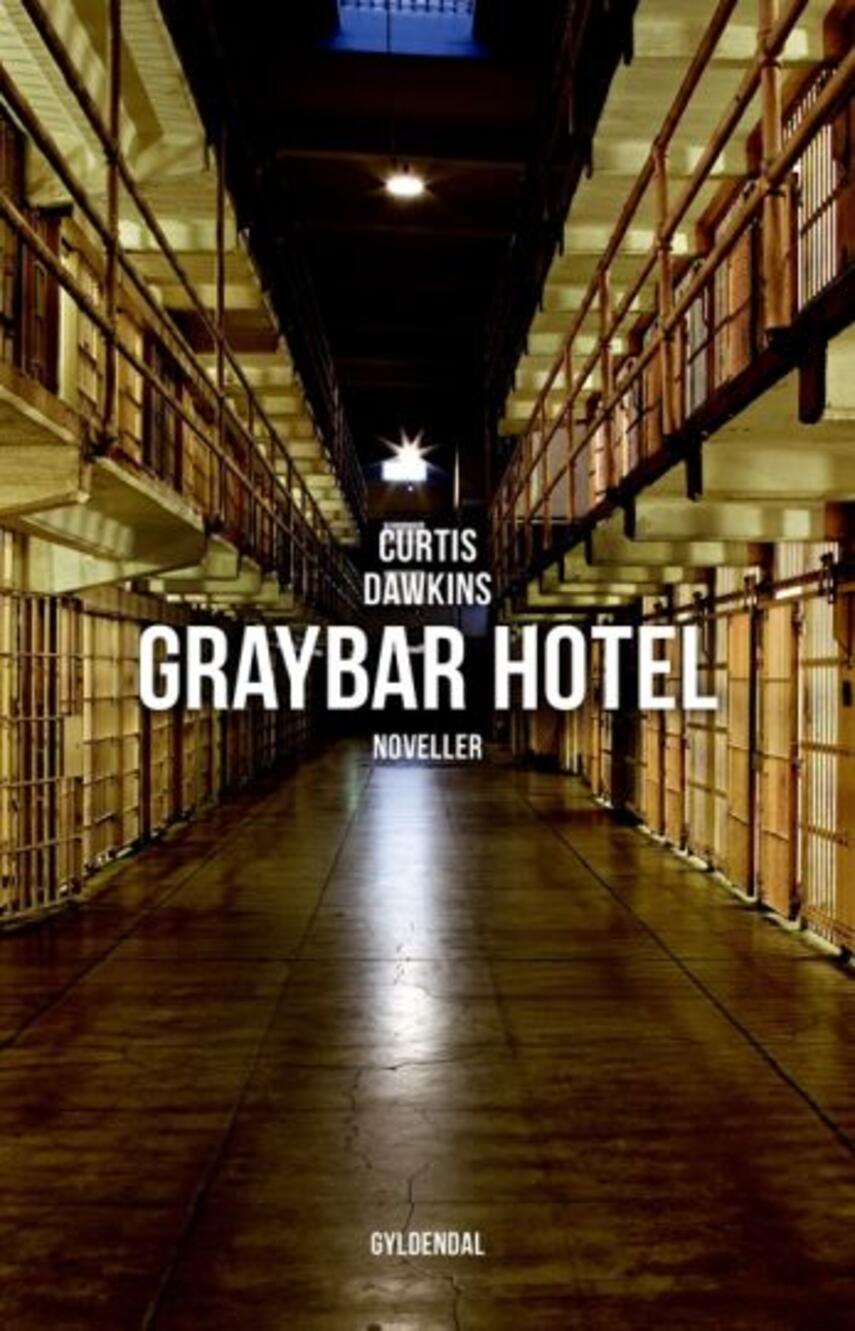 Curtis Dawkins: Graybar Hotel : noveller