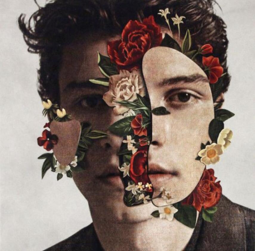 Shawn Mendes: Shawn Mendes