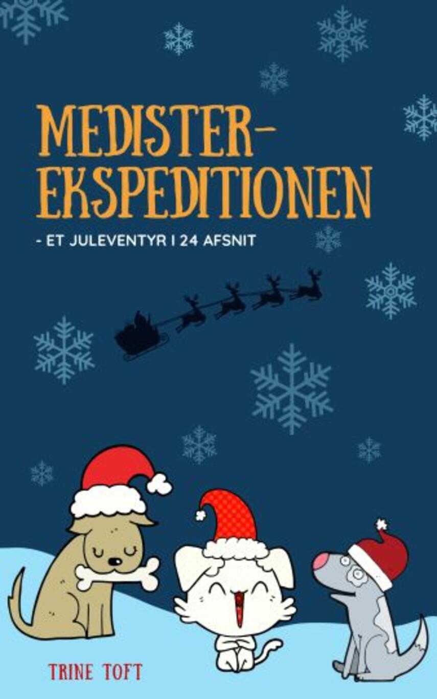Trine Toft: Medister-ekspeditionen : et juleeventyr i 24 afsnit