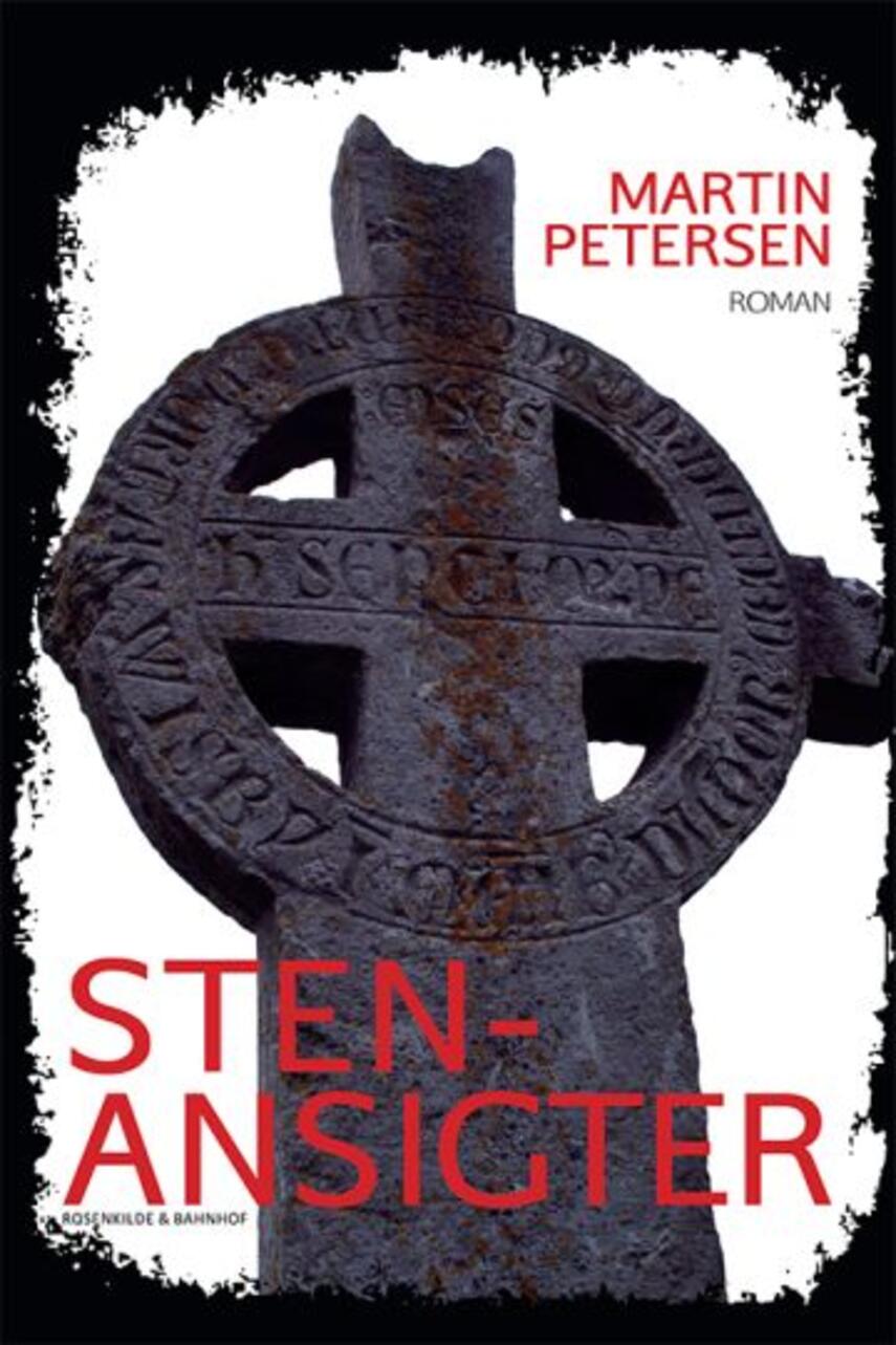 Martin Petersen (f. 1950): Stenansigter : roman
