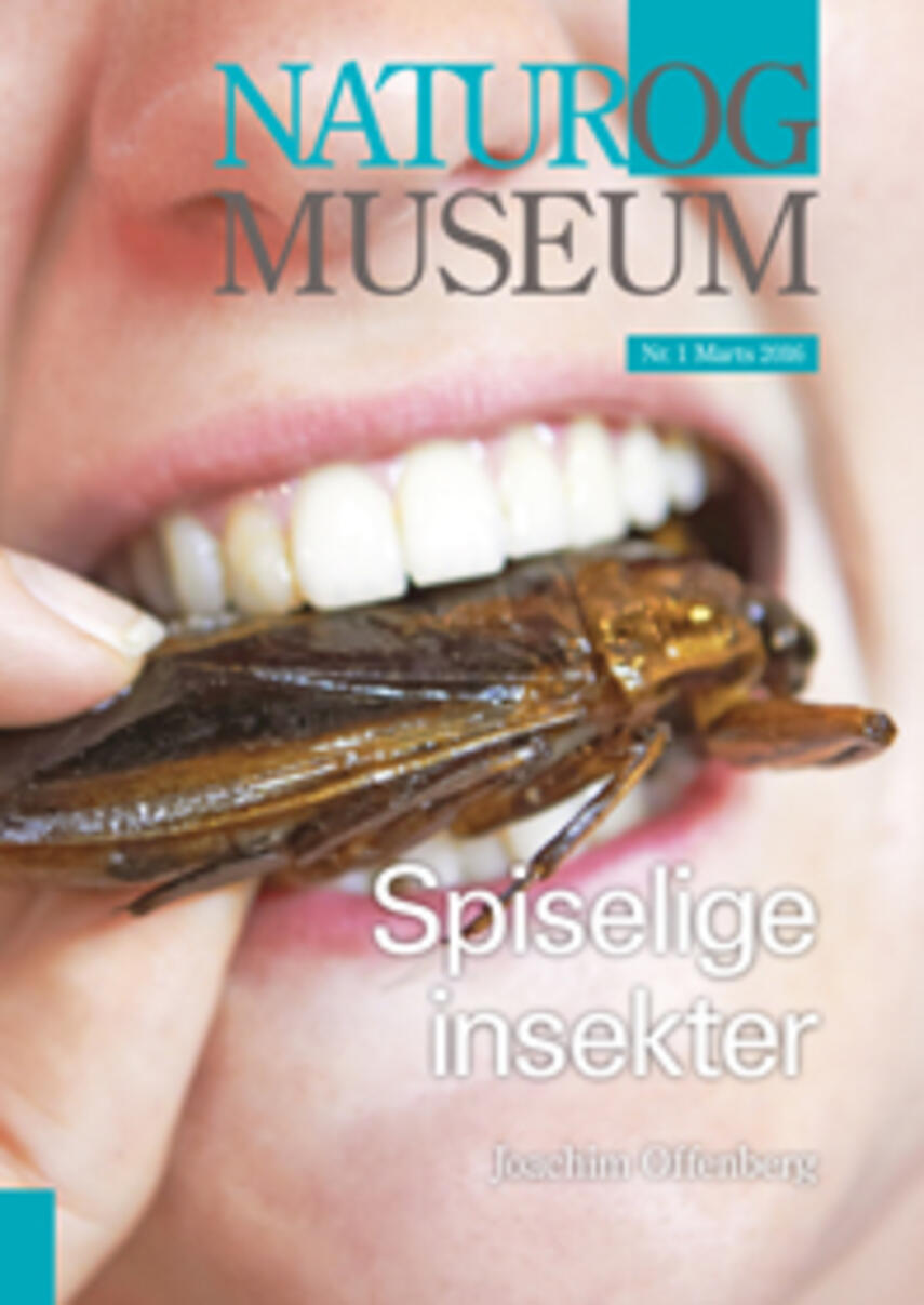 Joachim Offenberg: Spiselige insekter