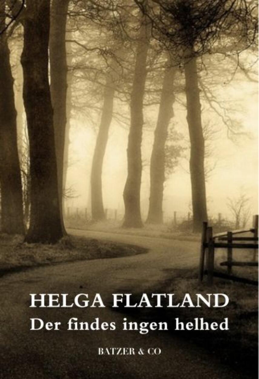 Helga Flatland: Der findes ingen helhed : roman