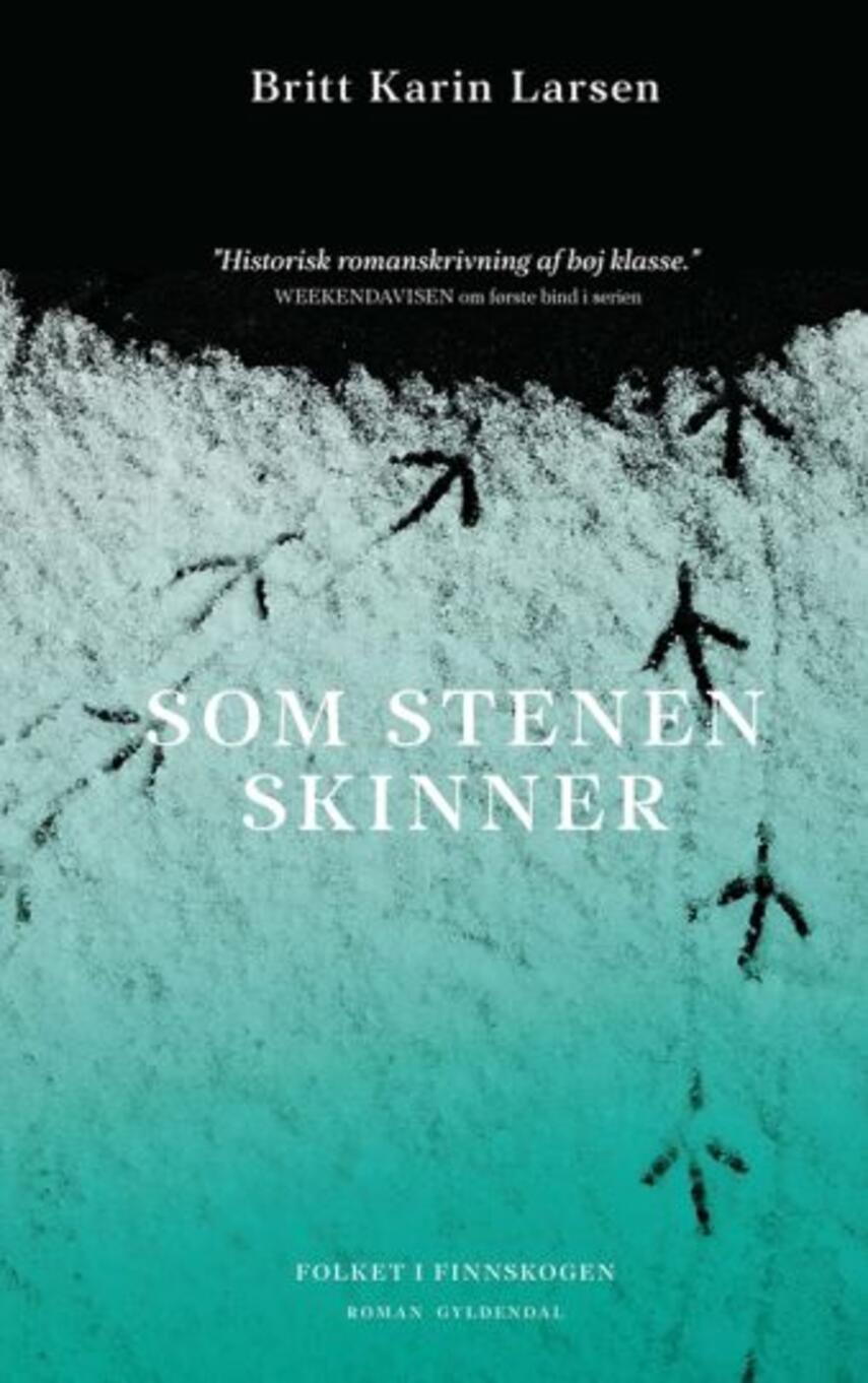 Britt Karin Larsen (f. 1945): Som stenen skinner : roman