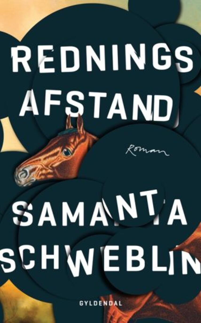 Samanta Schweblin: Redningsafstand : roman