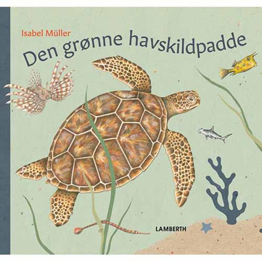 Isabel Müller: Den grønne havskildpadde