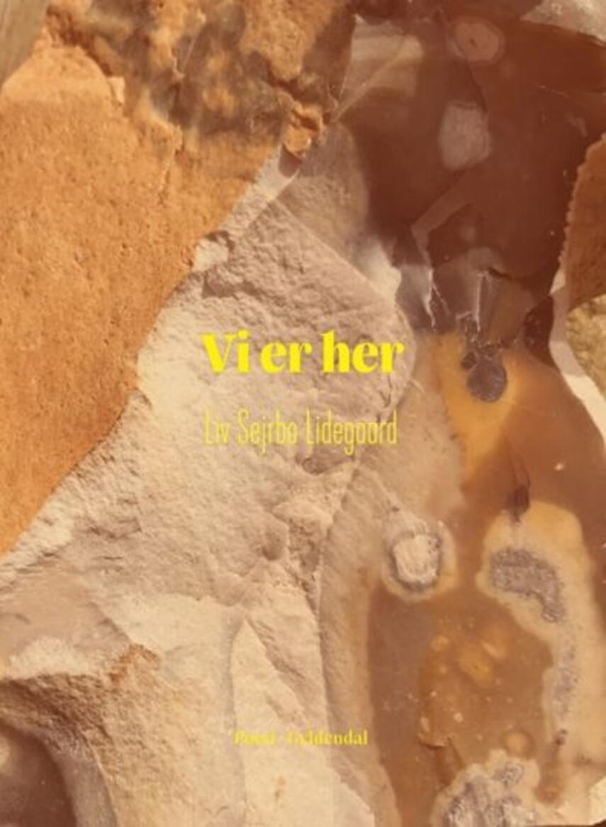 Liv Sejrbo Lidegaard: Vi er her : poesi