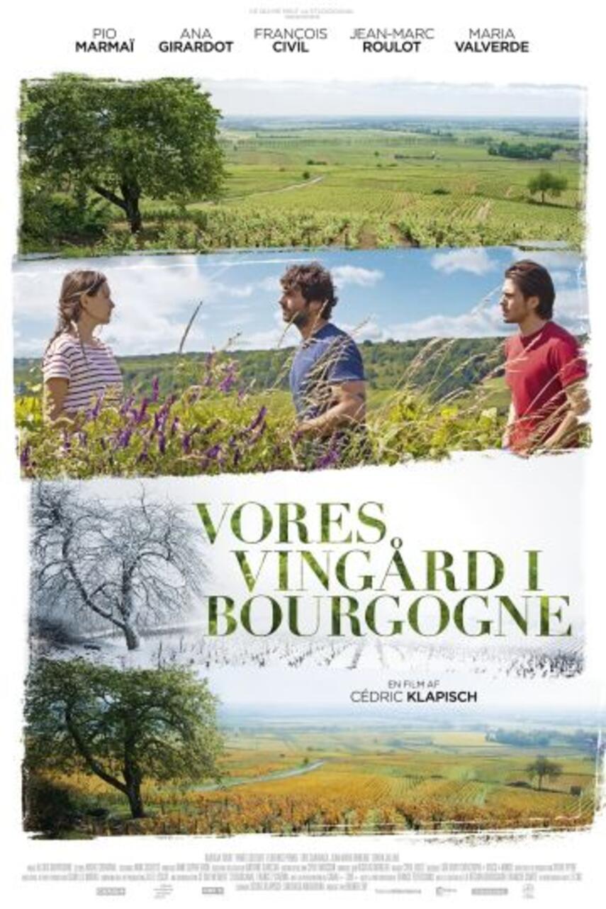 Cédric Klapisch, Santiago Amigorena, Alexis Kavyrchine: Vores vingård i Bourgogne