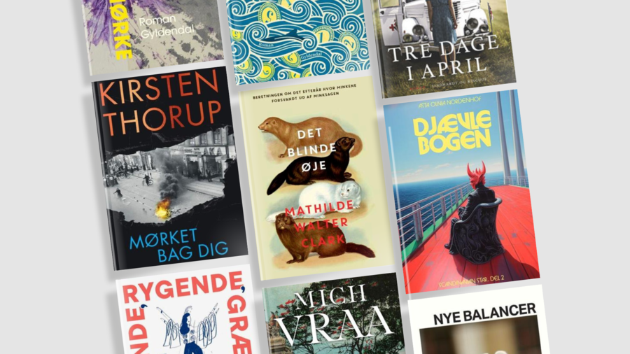 Bøger skrevet af danske forfattere, som er på programmet til LiteratureXchange 2024.